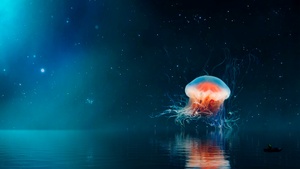 Jellyfish, Surreal, Reflection, Night, Aesthetic, 4K wallpaper