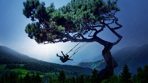 Swing, Surreal, Tree, Landscape, Foggy, Morning fog, Blue Sky, 4K wallpaper