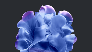 Windows 11, Dark theme, Bloom collection, Dark background, Blue abstract, Dark Mode, Aesthetic, 4K wallpaper