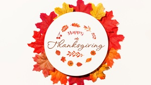 Happy Thanksgiving, Fall, Thanksgiving Day, Autumn leaves, White background, 4K wallpaper