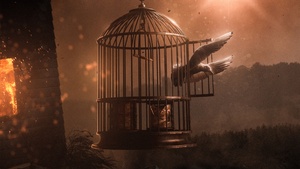 Dove, Cage, Freedom, Surreal, 4K wallpaper
