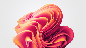 Windows 11, Orange abstract, Stock, White background, 4K wallpaper