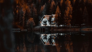 Autumn, Reflection, Forest, Italy, Brown aesthetic, 4K wallpaper