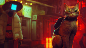 Stray, PlayStation 5, Stray cat, PC Games, PlayStation 4, 2022 Games, 4K wallpaper