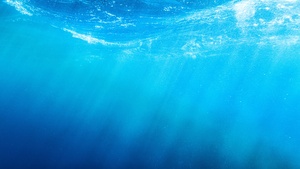 Underwater, Sun rays, Ocean, Hawaii, 4K wallpaper