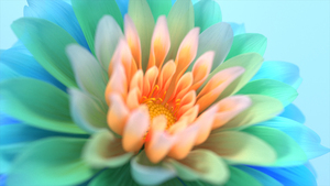 Colorful flowers, Closeup, Macro, Bloom, Digital Art, 4K wallpaper