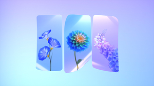 Spring flowers, Colorful flowers, Gradient background, Seasons, 4K wallpaper