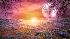 Sunrise, Landscape, Scenic, Surreal, Moon, Spring, Pink sky, 4K wallpaper