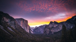 Yosemite National Park, Yosemite Valley, Landscape, Sunset, Dusk, Forest, 4K wallpaper